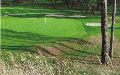 SKM_C451i26051614430